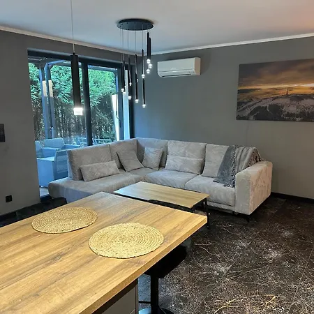 Plazowa Gray Apartament Szczyrk Exterior photo